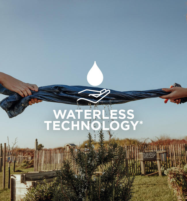 jean waterless